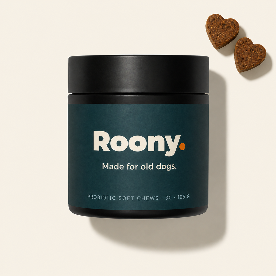 Roony probiotic soft chews jar