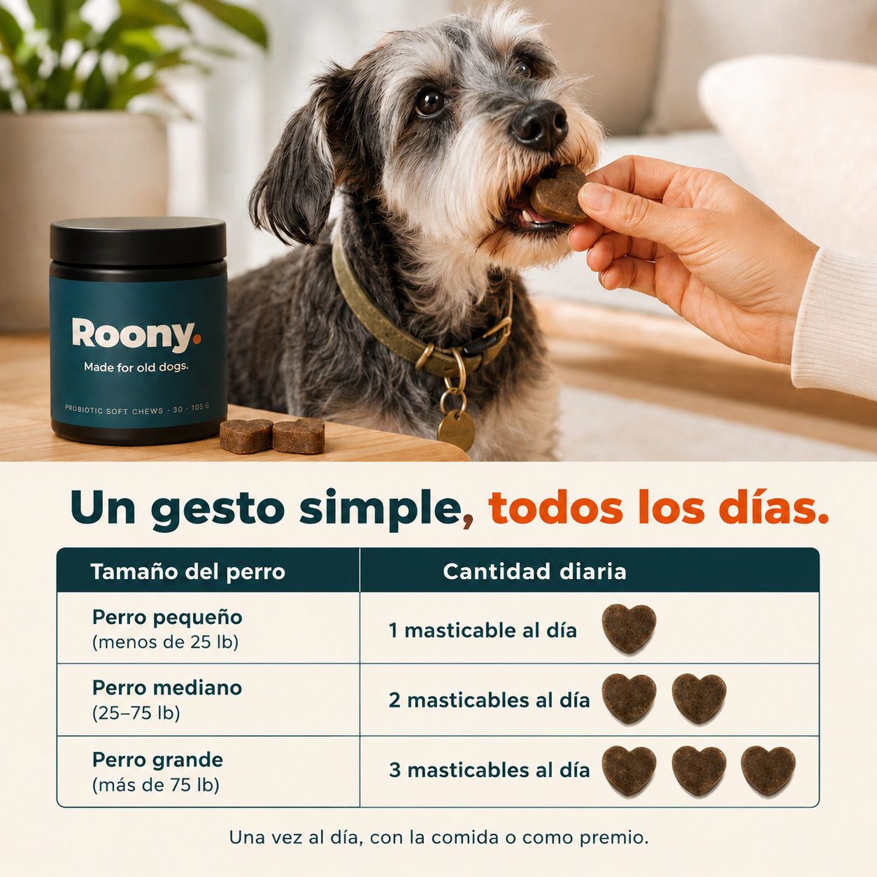 Hecho para la pancita sensible de tu perro mayor