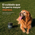 Hecho para la pancita sensible de tu perro mayor