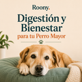 Ebook Digestivo Roony