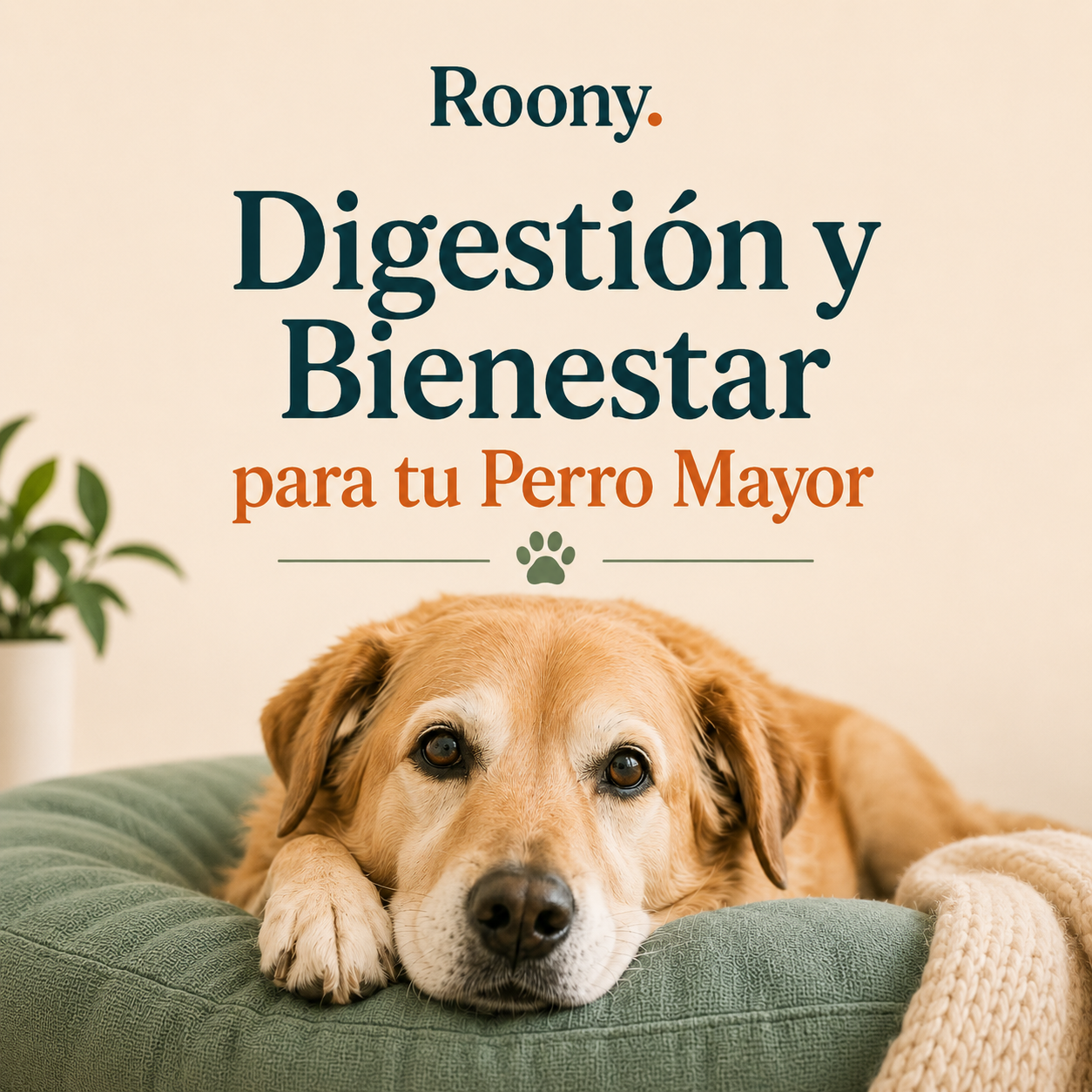 Ebook Digestivo Roony
