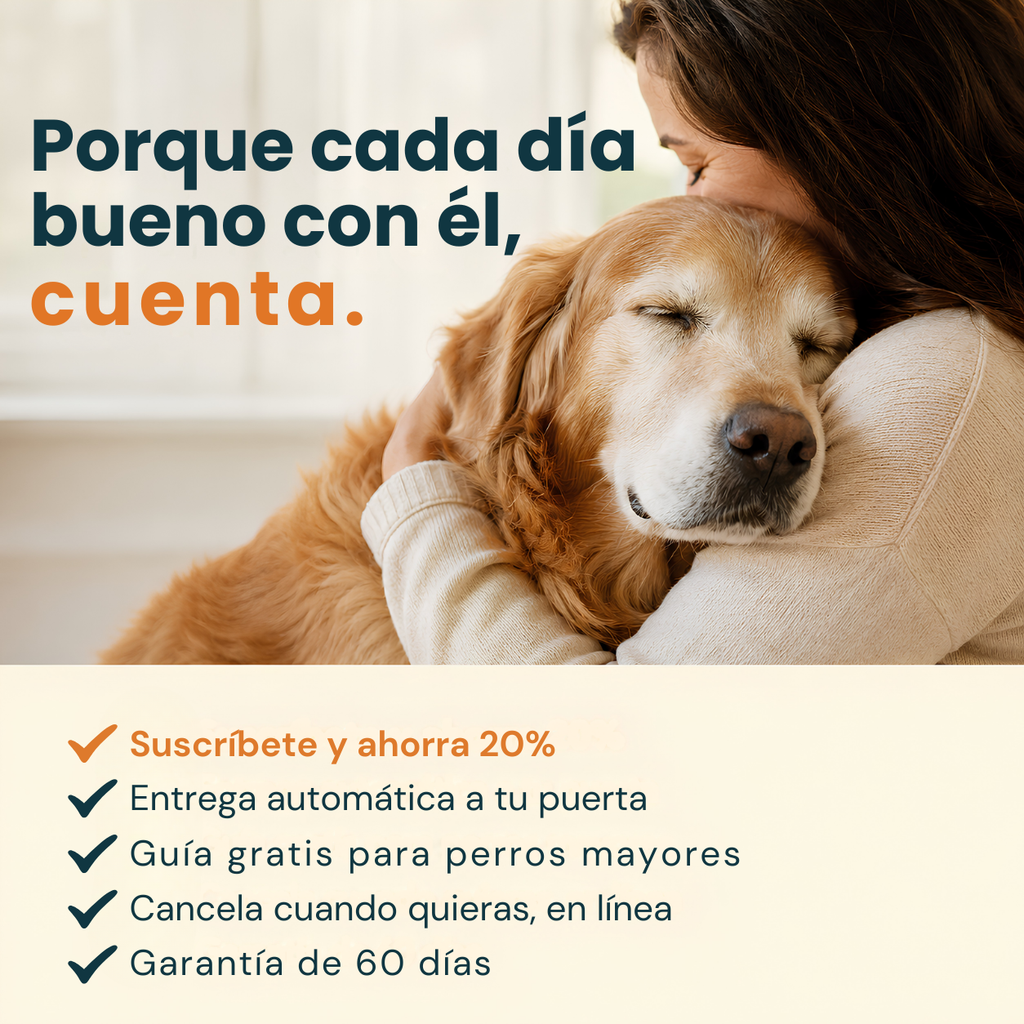 Hecho para la pancita sensible de tu perro mayor