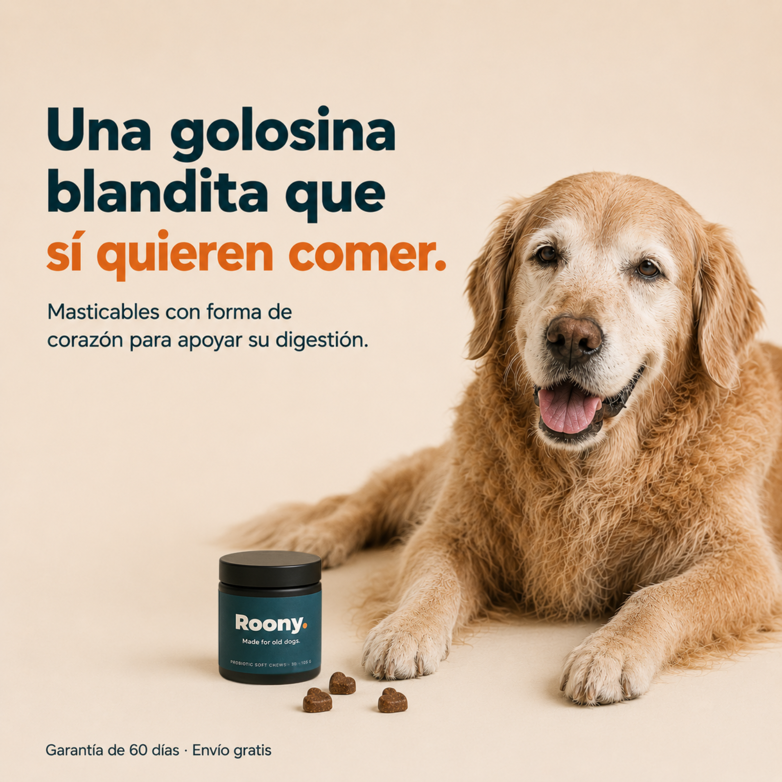 Hecho para la pancita sensible de tu perro mayor